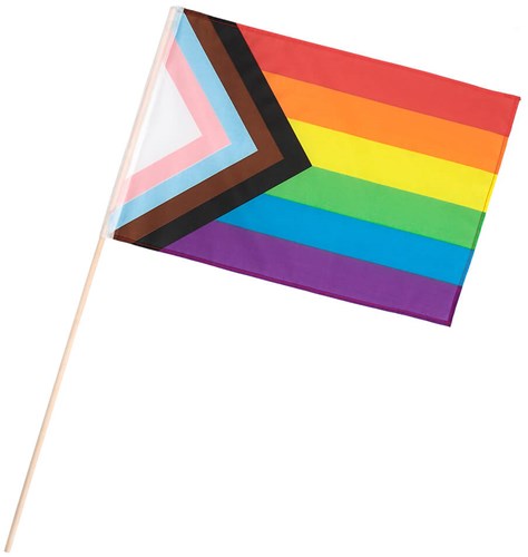 Zwaaivlag Op Stok Regenboog Progress - 30x45cm