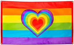 Vlag Regenboog Rainbow (90x150cm)