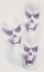 Halloween Raamdecoratie Skulls 61x30cm