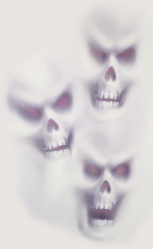 Halloween Raamdecoratie Skulls 61x30cm
