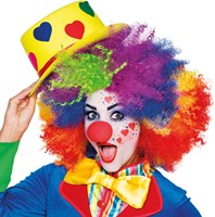 Make-up Kit Clown (voorbeeld)