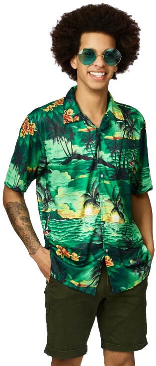 Hawaii Blouse Groen 