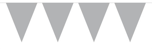 Vlaggenlijn Metallic 10mtr Zilver