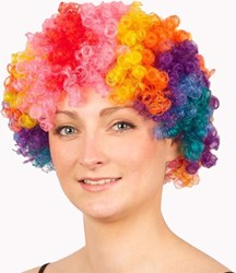 Pruik Clown Regenboog