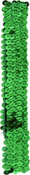 Pailletten Hoofdbandje Groen