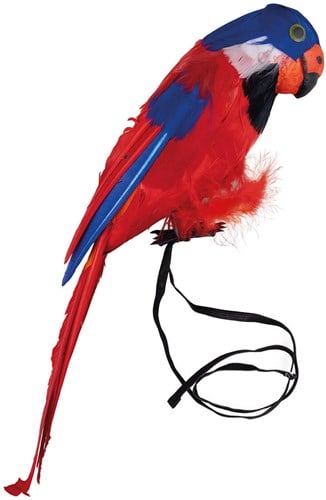 Papegaai 40cm