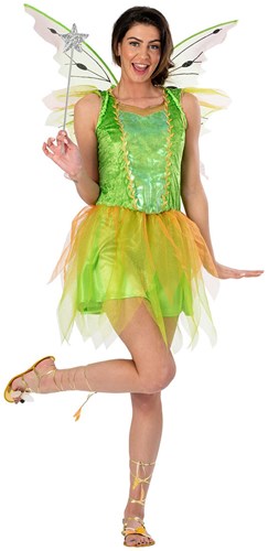 Tinkerbel Kostuum Elfje