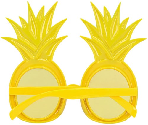 Ananas Bril (achterkant)
