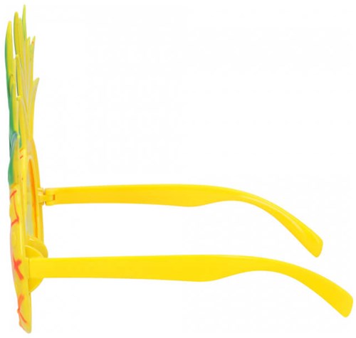 Ananas Bril (zijkant)