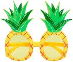 Ananas Bril