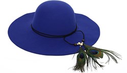 Flaphoed Blauw met Pauwenoog