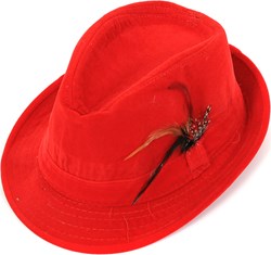 Tiroler Hoed Rood met Veertje (velours)