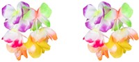 Hawaii Set Soleil 4 delig (armbanden)
