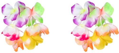 Hawaii Set Soleil 4 delig (armbanden)