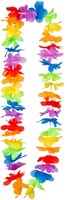Hawaiislinger Regenboog