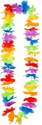 Hawaiislinger Regenboog