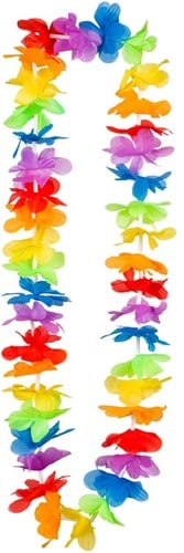 Hawaiislinger Regenboog