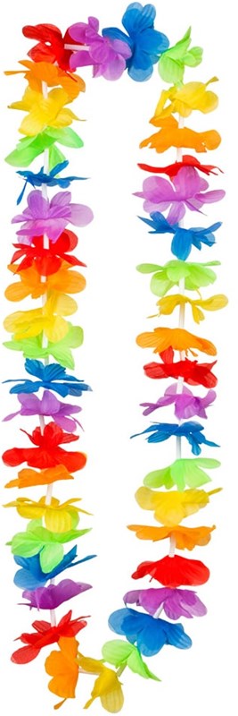 Hawaiislinger Regenboog
