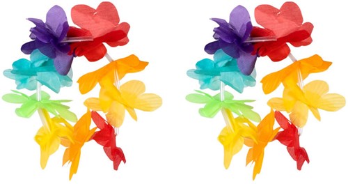 Hawaii Set Regenboog (4 delig) (armbanden)