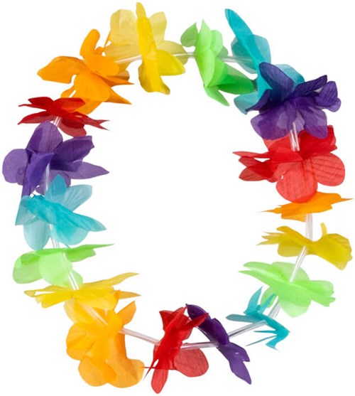 Hawaii Set Regenboog (4 delig) (hoofdband)
