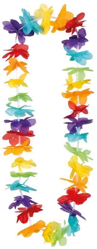 Hawaii Set Regenboog (4 delig) (ketting)