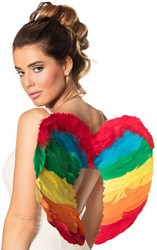 Engelen Vleugels Regenboog met Marabou (50x35cm)