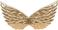 Engelen Vleugels Goud (22x43cm) (voorkant)