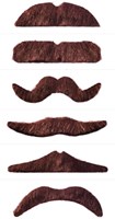 Snor Bruin 