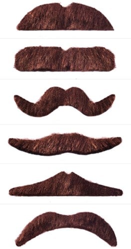 Snor Bruin 