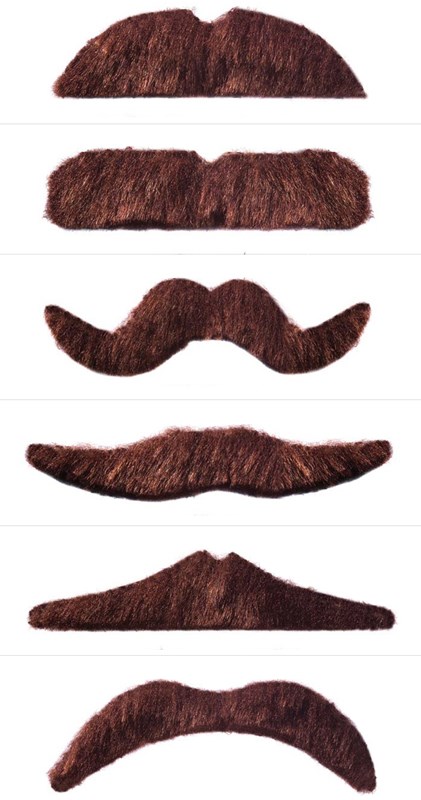 Snor Bruin 