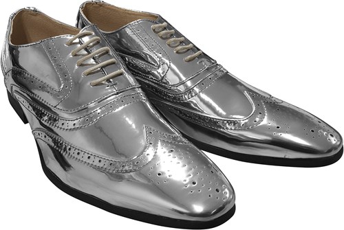 Heren Schoenen Zilver Luxe