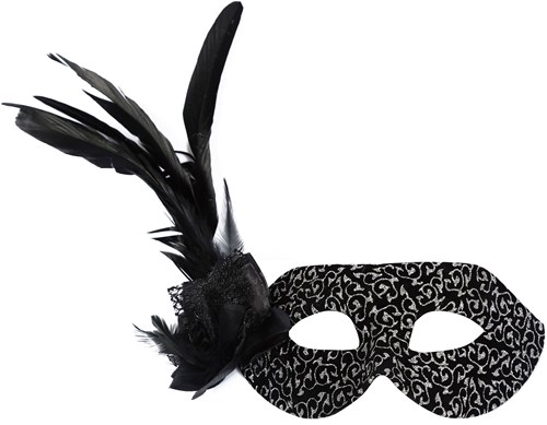 Venetiaans Oogmasker Zilver-Zwart met Bloem en Veren