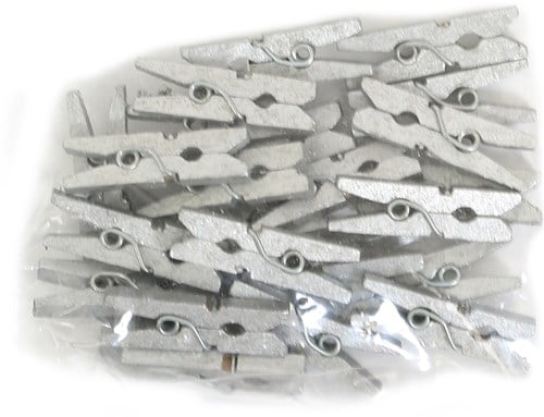 Knijpertjes 24st Zilver