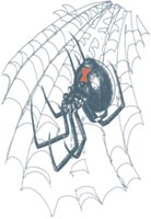 Tattoo Black Widow (Biker Tattoo)