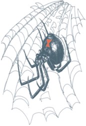 Tattoo Black Widow (Biker Tattoo)