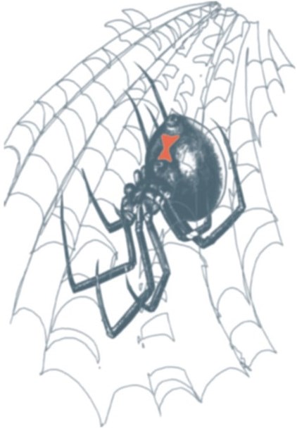 Tattoo Black Widow (Biker Tattoo)