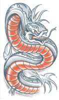 Tattoo Snake - Slang (Biker Tattoo)