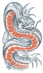 Tattoo Snake - Slang (Biker Tattoo)