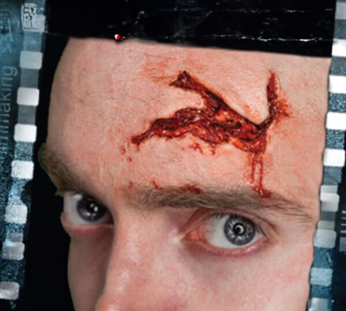 Professionele Wond FX - Head Wound