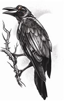 Tattoo The Raven (Goth Tattoo)