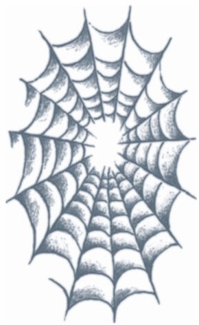 Tattoo Spinnenweb 