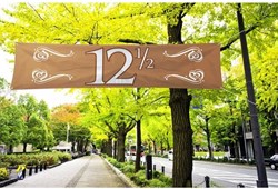 Banner 12,5 Koper 180x40cm