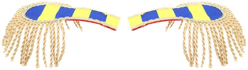 Epauletten Blauw-Geel (2st)