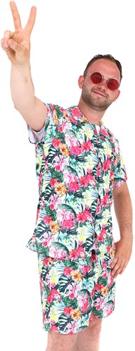 Festival Outfit Heren Hawaii Flamingo