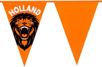 Oranje Vlaggetjes Brullende Leeuw - 6m (voorbeeld)