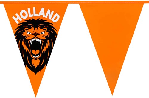 Oranje Vlaggetjes Brullende Leeuw - 6m (voorbeeld)