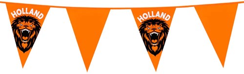 Oranje Vlaggetjes Brullende Leeuw - 6m