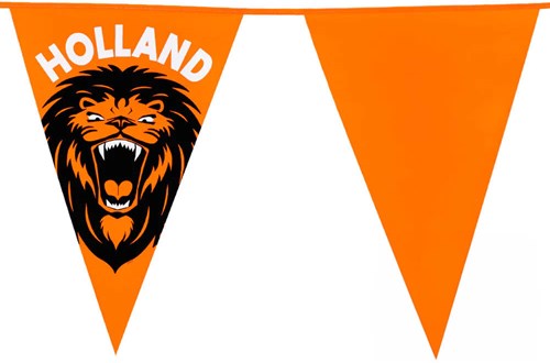 Oranje Reuze Vlaggenlijn Brullende Leeuw - 8m (detail)