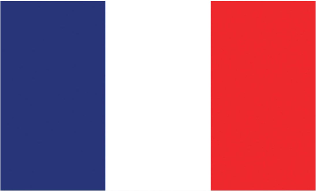 Carnaval Vlag - 150 x 90 cm - rood / geel / groen Carnaval Vlag - 150 x 90 cm - rood / geel / groen