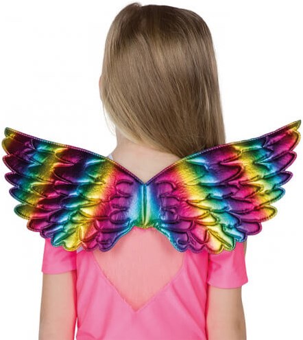 Regenboog Vleugels 44x23cm (achterkant)